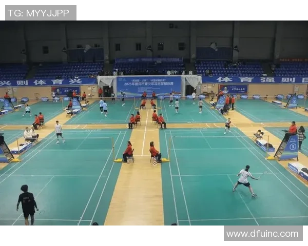 重庆羽毛球队的转型之路：从传统强队到现代竞技新标杆的蜕变之旅